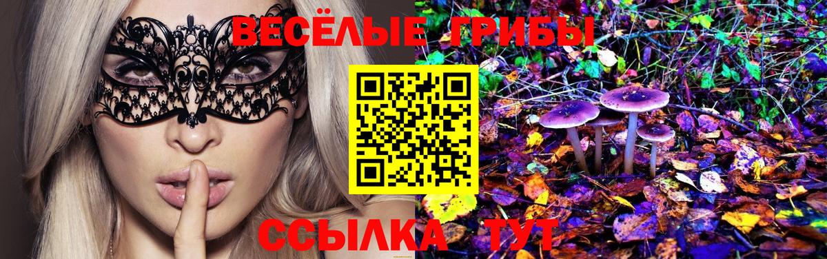 Галлюциногенные грибы MAGIC MUSHROOMS Владивосток